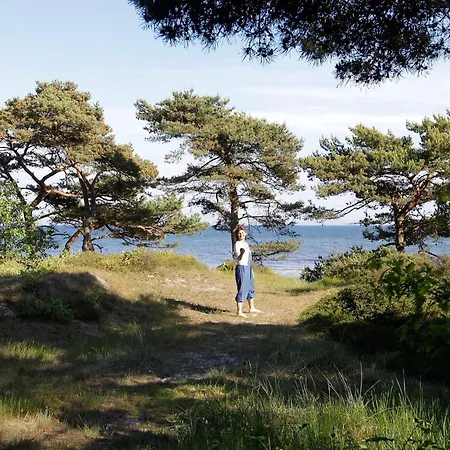 Seaside Oasis With Pool - By Traum * Neksø